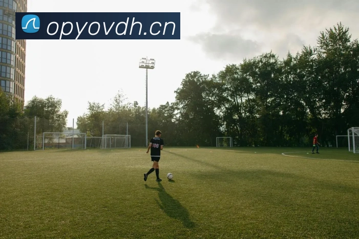 开云官网平台生态图