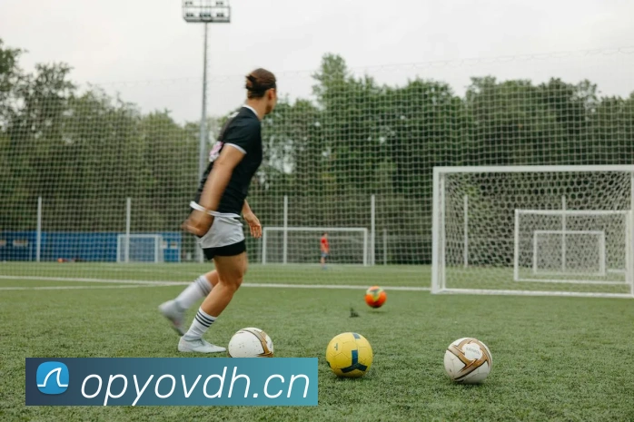 开云官网APP 封面图